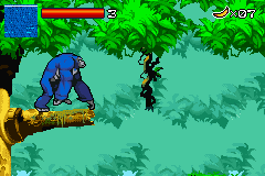 Kong - The Animated Series (E) (M6)