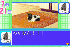 Kawaii Pet Game Gallery 2 (J)