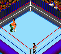 Fire Pro Wrestling - 2nd Bout